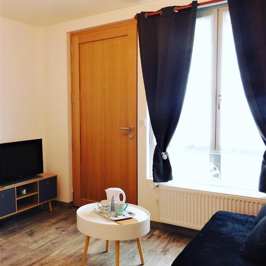 Appartement St Aignan Sur Cher Centre 상테뇽 외부 사진